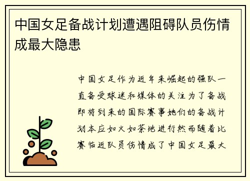 中国女足备战计划遭遇阻碍队员伤情成最大隐患